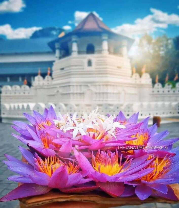 Sigiriya To Kandy Private Transfer: Visit Dambulla Temple - Sigiriya to Kandy in 3.5 hours: what this private transfer really covers
