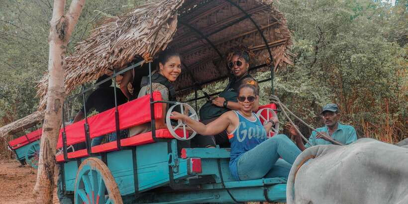 Sigiriya Village Tour and Lunch - Entering Sigiriya Village Life Through Transport and Food