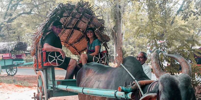 Sigiriya Village Tour and Lunch - Price and Logistics: Is $20 a Good Deal?