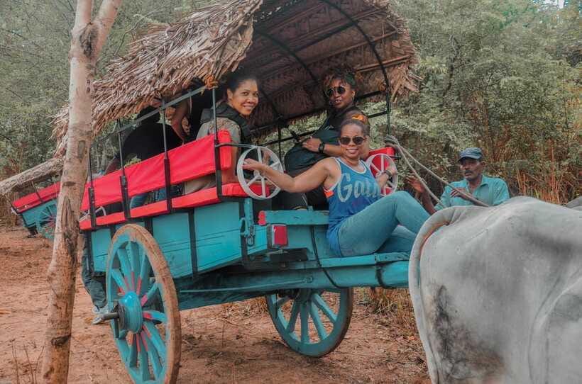 Sigiriya Village Tour and Lunch - What to Expect From the Group Experience (Private Means Less Rushing)