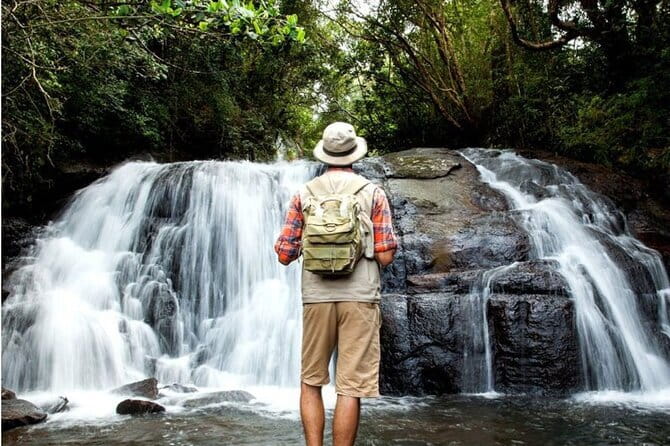 Sinharaja Rain Forest Day Tour from Mirissa, Galle, Bentota Area - Key highlights you’ll actually care about