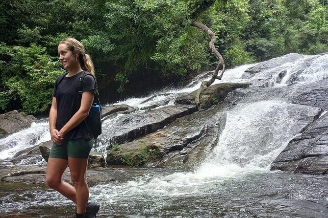 Sinharaja Rain Forest Day Tour from Mirissa, Galle, Bentota Area - Sinharaja Rain Forest Reserve: why this rainforest matters