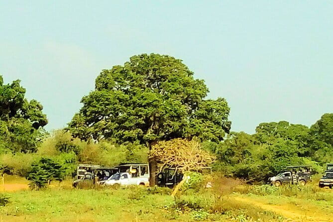 Sinharaja Rain Forest Day Tour from Mirissa, Galle, Bentota Area - Pickup areas on the south coast: does it reach you?