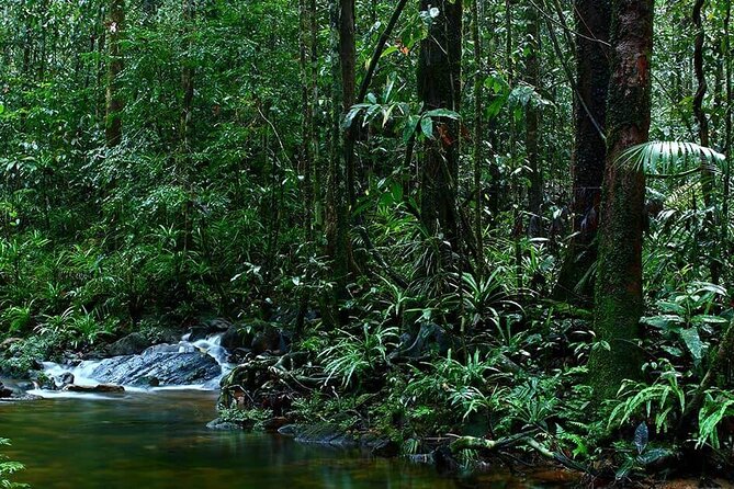 Sinharaja Rain Forest Guided Day Tour - Getting there the easy way: meeting point and time on the ground