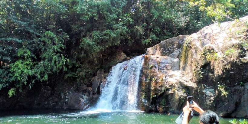 Sinharaja Rainforest Private & Customize Tour - Key things to love about Sinharaja with a private guide