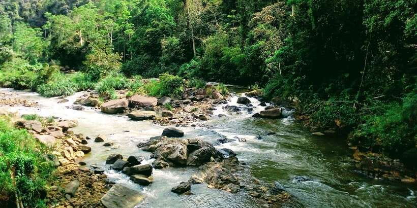 Sinharaja Rainforest Private & Customize Tour - Should You Book Sinharaja Private & Customize?