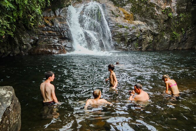 Sinharaja Rainforest Private Half Day Tour with Licensed Guide - Key Takeaways Before You Go
