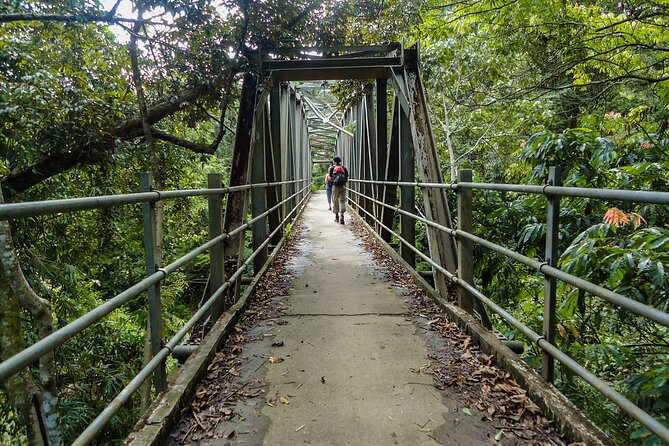 Sinharaja Rainforest Private Half Day Tour with Licensed Guide - Sinharaja Rainforest UNESCO: Why This Half-Day Feels Worth It