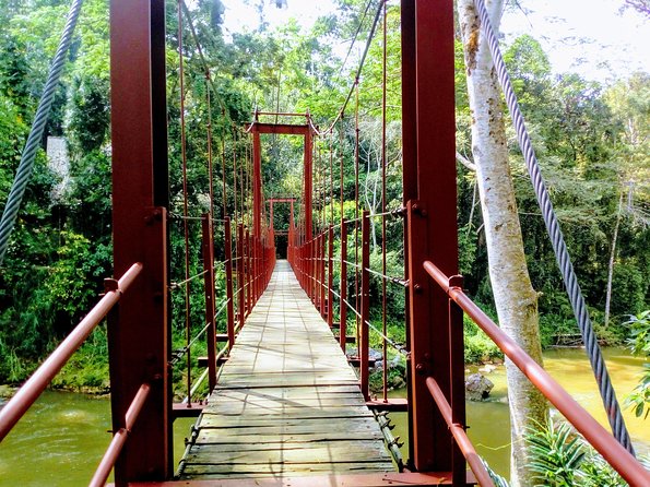 Sinharaja Rainforest Tour - Entering Sinharaja Forest Reserve from the South Coast