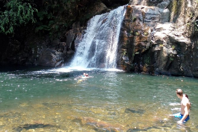Sinharaja Rainforest Tour - Inside the Rainforest: Time, Terrain, and What to Expect