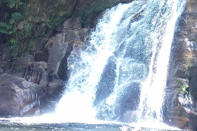 Sinharaja Rainforest Tour - What to Bring: Practical Rainforest Gear That Saves You