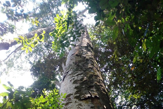 Sinharaja Rainforest Tour - Communication and Working with the Operator