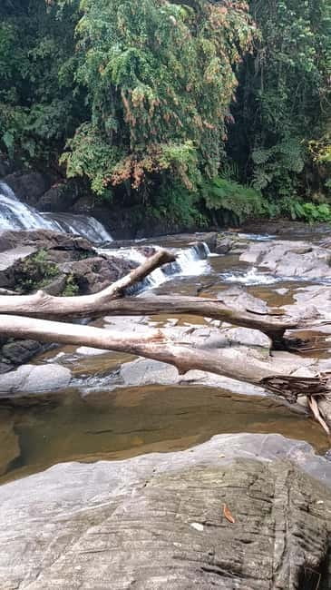 Sinharaja Rainforest: Tour with 5 Waterfalls Trek - Key points to know before you go