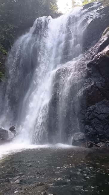 Sinharaja Rainforest: Tour with 5 Waterfalls Trek - From the coast to Duli Ella: why the drive matters
