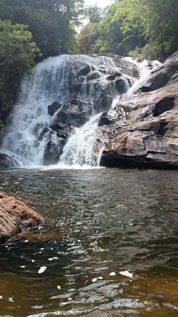 Sinharaja Rainforest: Tour with 5 Waterfalls Trek - The rainforest walk with a tracker: spotting what you’d miss alone