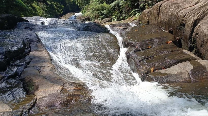 Sinharaja Rainforest: Tour with 5 Waterfalls Trek - Five waterfalls in one day: how the route feels in practice