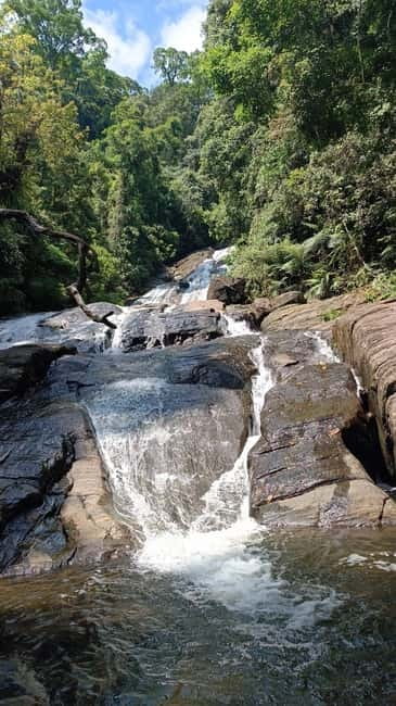 Sinharaja Rainforest: Tour with 5 Waterfalls Trek - Transportation and timing: what a 7-hour day really means
