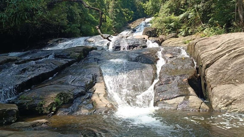 Sinharaja Rainforest: Tour with 5 Waterfalls Trek - Duli Ella: your first waterfall stop