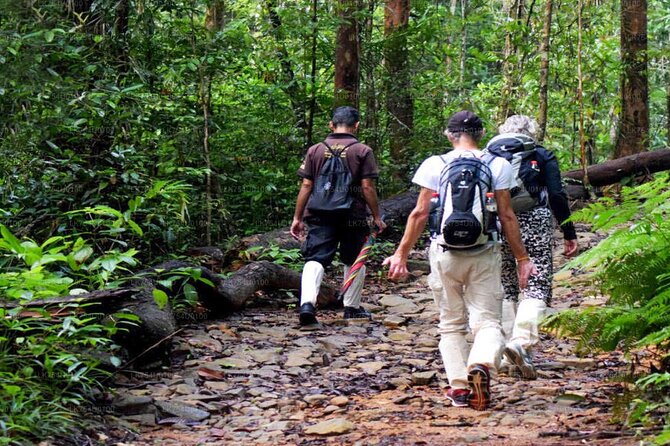 Sinharaja Rainforest Trekking Private Day Trip with Local Lunch - Why Sinharaja Forest Reserve is worth a full day from Bentota