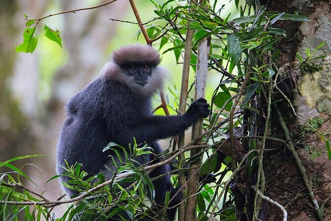 Sinharaja Rainforest Trekking Private Day Trip with Local Lunch - Price and value: is $120 for Sinharaja a smart move?