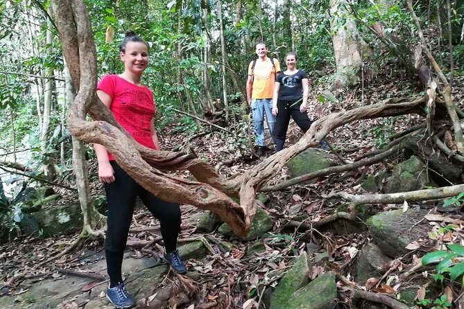 Sinharaja Rainforest Trekking Private Day Trip with Local Lunch - Who this trip suits best (and who might want a different plan)