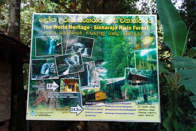 Sinharaja Rainforest & Udawalawe Safari - 2 Days, All Inclusive - Guides who spot animals, birds, and bugs