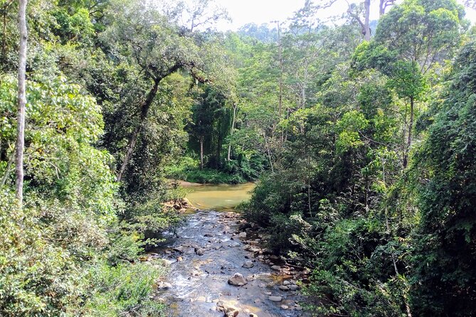 Sinharaja Rainforest & Udawalawe Safari - 2 Days, All Inclusive - All-inclusive value for $340: what’s covered and what you’ll still want to budget