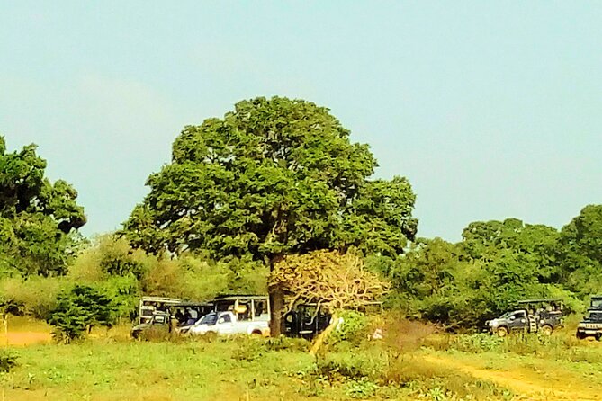 Sinharaja Rainforest & Udawalawe Safari - 2 Days, All Inclusive - Galle Dutch Fort and Polhena Beach stops along the route