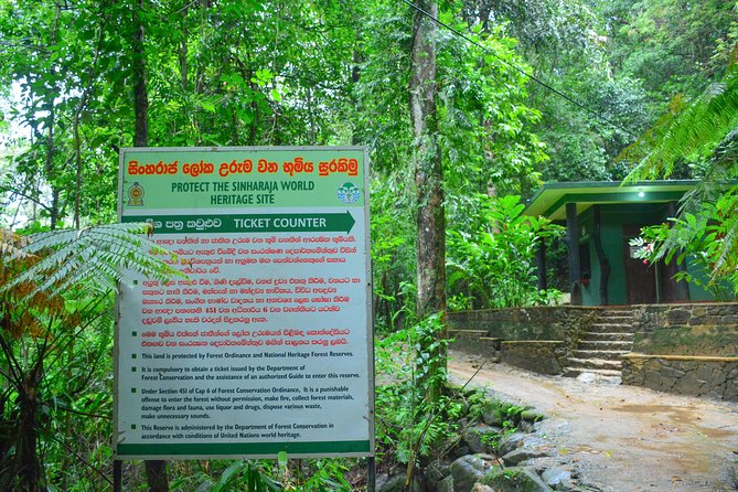 Sinharaja Short tour with 5 waterfalls tour or Adventure tour - The guides make it: names you might meet and how they help you notice life