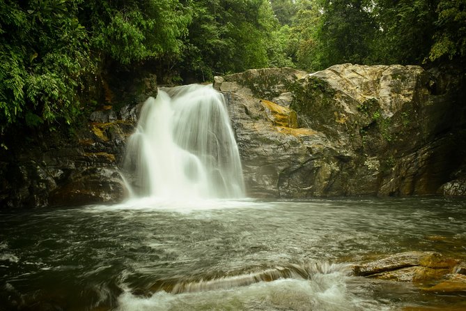 Sinharaja Short tour with 5 waterfalls tour or Adventure tour - Gear, comfort, and the leech-and-rain reality check