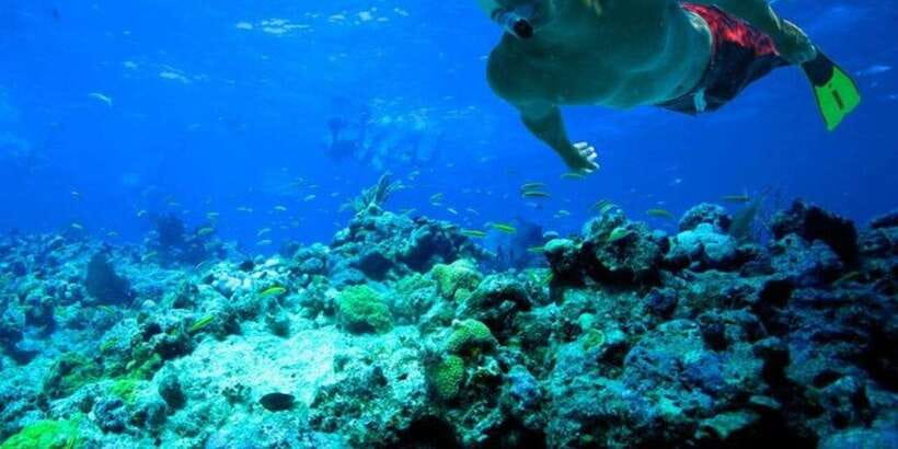 Snorkeling in Trincomalee - Should You Book Snorkeling in Trincomalee?