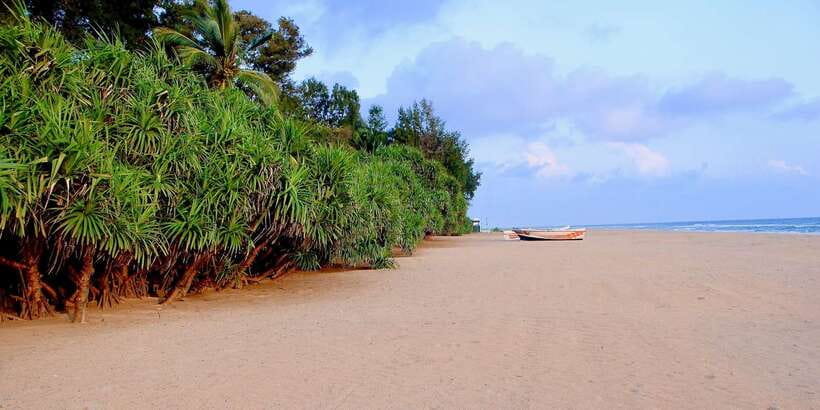 Snorkeling in Trincomalee - FAQ