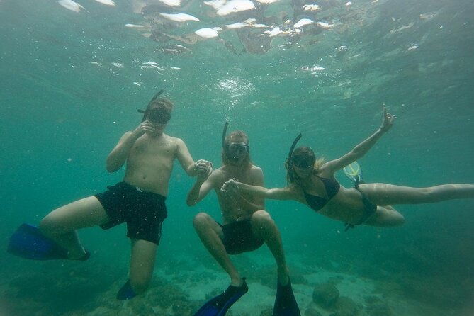 Snorkeling On Beautiful Rock Island - Unawatuna by Boat - Key things that make this snorkeling trip work