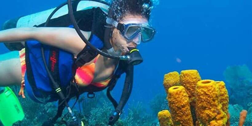 Snorkeling Trip from Polhena Beach, Matara, Sri Lanka - Key Snorkeling Highlights Worth Planning For