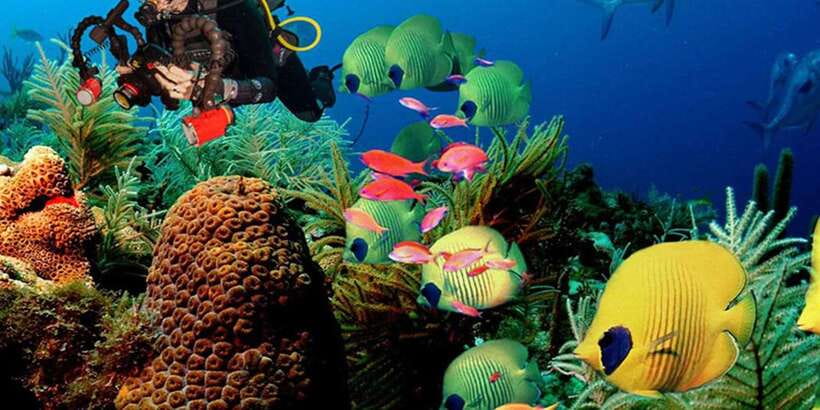 Snorkeling Trip from Polhena Beach, Matara, Sri Lanka - The 1.5-Hour Flow: From Meeting, to Water Time, to Back Again