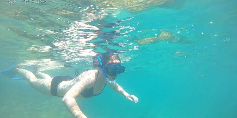 Snorkeling Trip from Polhena Beach, Matara, Sri Lanka - What You’re Hoping to See: Turtles, Whales, and Sea Life on a Short Trip