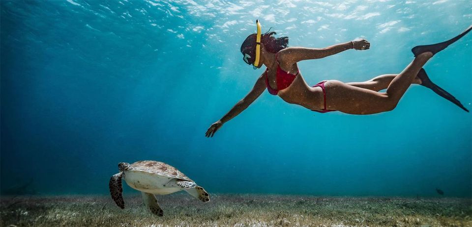 Snorkeling Trip from Polhena Beach, Matara, Sri Lanka - Price and Value: Is $29 Reasonable for This Snorkeling Package?