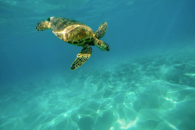 Snorkeling with Sea Turtles in Mirissa (Pickup and Drop included) - Weather and Sea Conditions: What “Requires Good Weather” Means