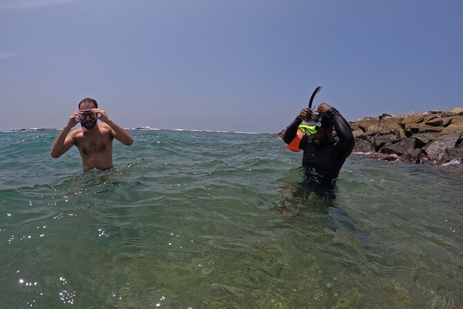 Snorkeling with Turtles in Mirissa - No Boat Needed: What That Means for Your Snorkel Time