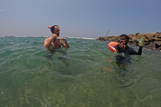 Snorkeling with Turtles in Mirissa - How You Find Turtles (And Why the Guide Makes or Breaks It)