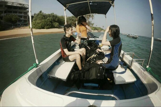 Snorkeling with Whales in Mirissa - Price: Does $348.72 Make Sense for This Kind of Whale Time?