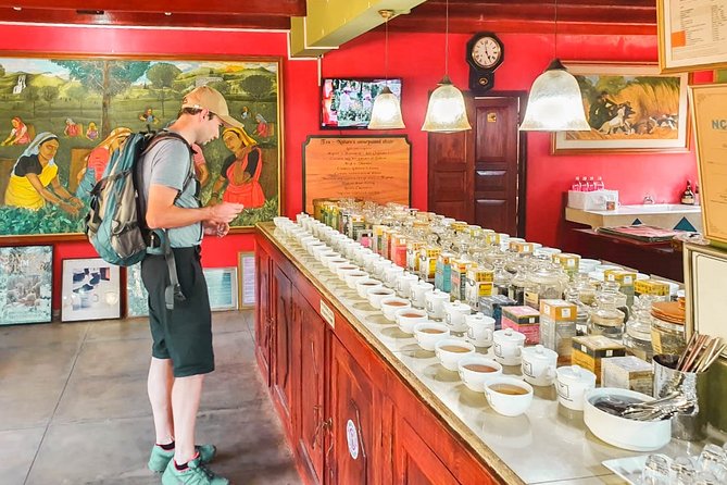Southern Coast Highlights from Colombo - Why a private Colombo-to-Galle day saves you headaches