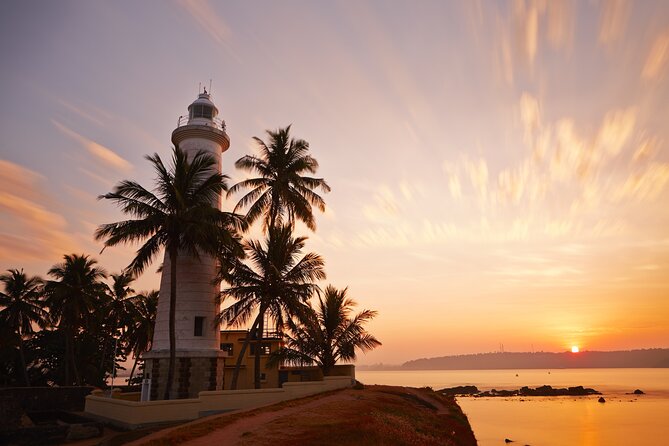 Southern Coast Highlights from Colombo - Lunch and timing: when the day feels full (and when it doesn’t)