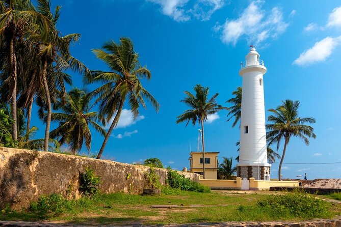 Southern Sri Lanka Sightseeing Day Trip From Colombo & Negombo - Key things that make this South Coast day trip work