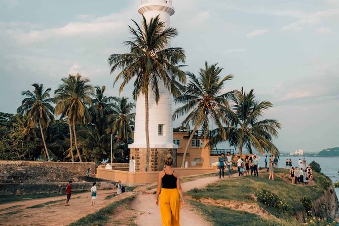 Southern Sri Lanka Sightseeing Day Trip From Colombo & Negombo - Turtle conservation in Kosgoda and Sea Turtle Farm in Galle Mahamodara