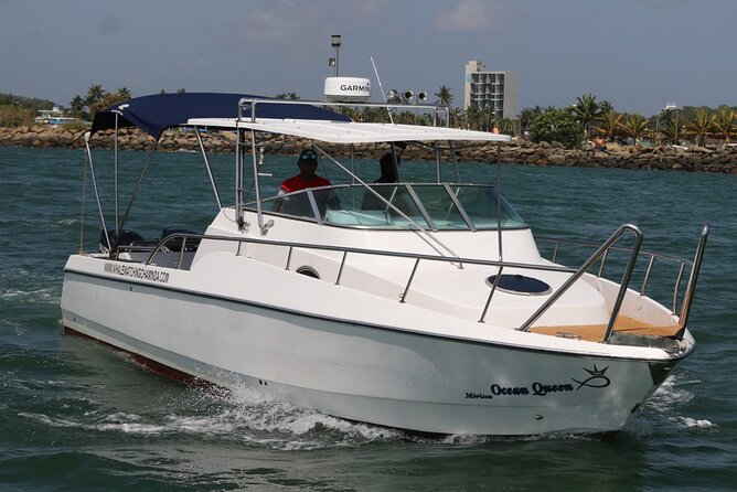 Sports Boat- Private Whale Watching Trip( free breakfast & paid pick-up) - What your morning looks like (7:00am start to offshore sightings)