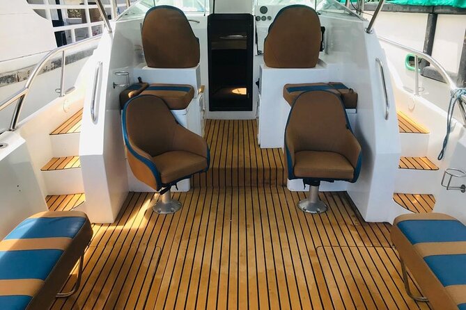 Sports Boat- Private Whale Watching Trip( free breakfast & paid pick-up) - The whale-watching zone: who you might see and what to watch for
