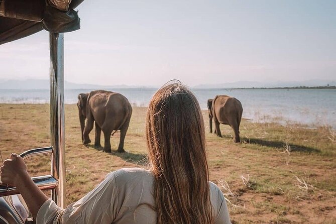 Sri Lanka 03 night 04 days budget tour package - Day-by-day pacing: the sweet spot between driving and seeing