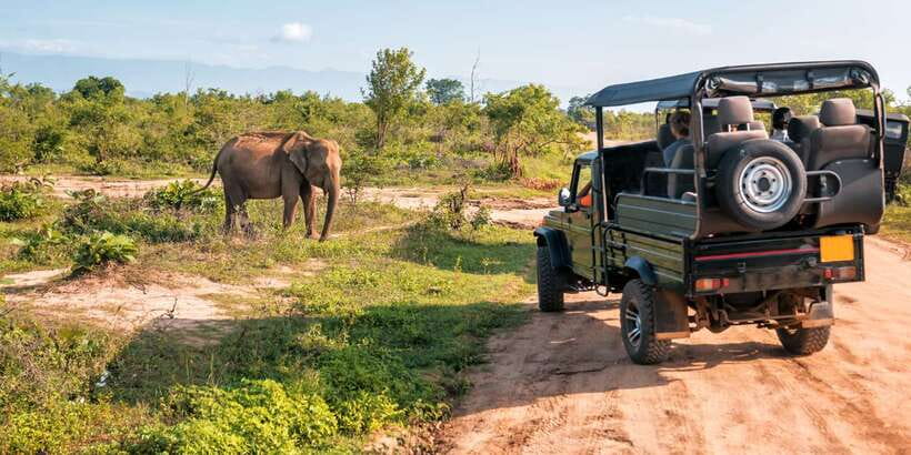 Sri Lanka: 2-Day wildlife tour; rainforest and National park - Who this tour fits best (and who it won’t)
