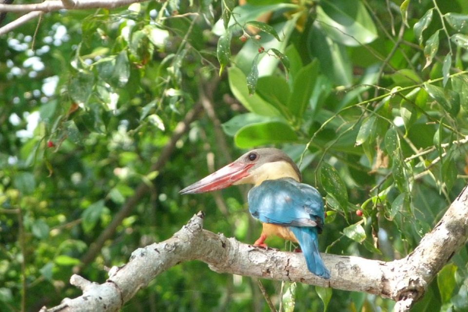 Sri Lanka: 2-Day wildlife tour; rainforest and National park - The overnight break: basic hotel comfort, then an early rail day